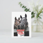 Valentijnsdag paarden feestdagenkaart (Staand voorkant)