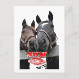 Valentijnsdag paarden feestdagenkaart