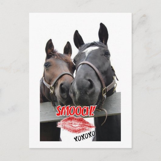 Valentijnsdag paarden feestdagenkaart (Voorkant)