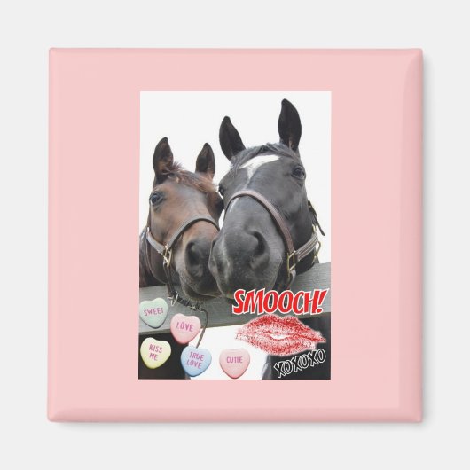 Valentijnsdag paarden magneet (Voorkant)