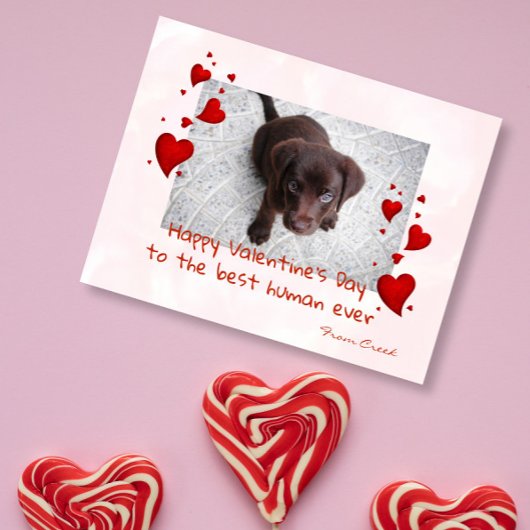 Valentijnsdag Photo Template Pet Dog Cat Briefkaart