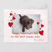 Valentijnsdag Photo Template Pet Dog Cat Briefkaart (Voorkant)