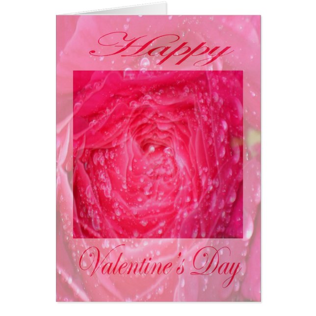 Valentijnsdag Pink Rose met regendruppels (Voorkant)