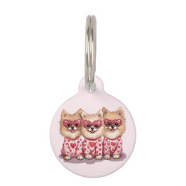 Valentijnsdag Pommeren Huisdierpenning