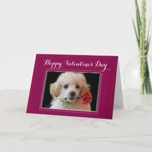 Valentijnsdag poodle wenskaart feestdagen kaart
