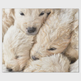 Valentijnsdag puppies cadeaupapier