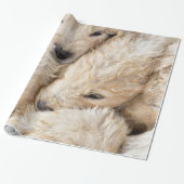 Valentijnsdag puppies cadeaupapier (Uitgerold)