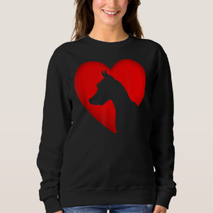 Valentijnsdag Retro Hearts Doberman Dog Puppy Trui