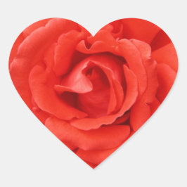 Valentijnsdag rode roos hart sticker