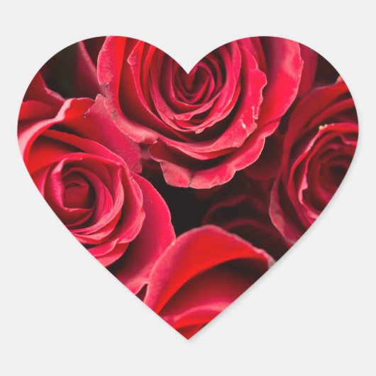 Valentijnsdag rode rozen hart sticker (Voorkant)