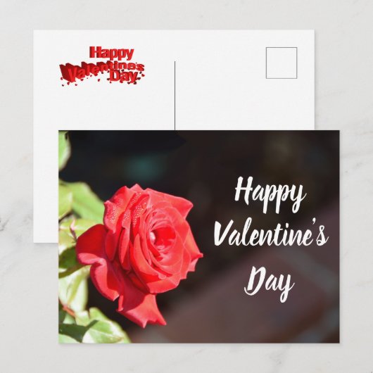 Valentijnsdag roos briefkaart (Voorkant / Achterkant)