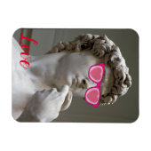 Valentijnsdag roos met een gekleurde bril magneet (Horizontaal)