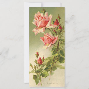 Valentijnsdag Roze Victoriaans Roos van de tuin