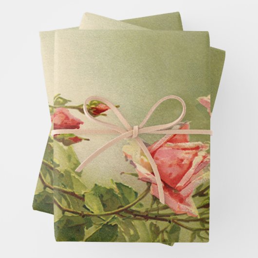  Valentijnsdag Roze Victoriaans Roos van de tuin Inpakpapier Vel (In situ)