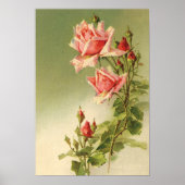 Valentijnsdag Roze Victoriaans Roos van de tuin Poster (Voorkant)