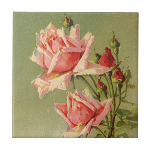  Valentijnsdag Roze Victoriaans Roos van de tuin Tegeltje (Voorkant)