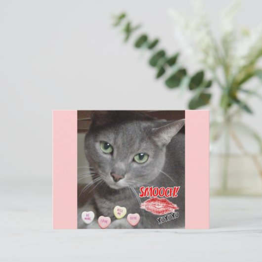 Valentijnsdag Russisch blauw grijs kat Feestdagenkaart (Staand voorkant)