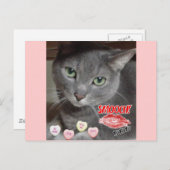 Valentijnsdag Russisch blauw grijs kat Feestdagenkaart (Voorkant / Achterkant)