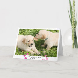 Valentijnsdag Schattige Dogs Puppy Love Feestdagen Kaart