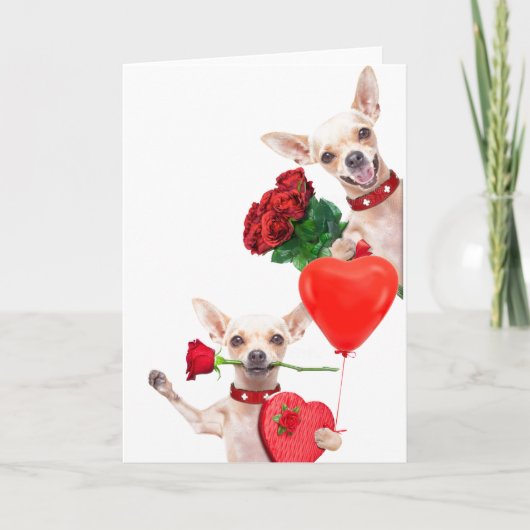 Valentijnsdag Schattige Grappige Chihuahuas met Ro Kaart (Voorkant)