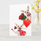 Valentijnsdag Schattige Grappige Chihuahuas met Ro Kaart (Gele Bloem)