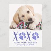 Valentijnsdag Schattige Hondenhuisdier Foto Vakant Feestdagenkaart (Voorkant)
