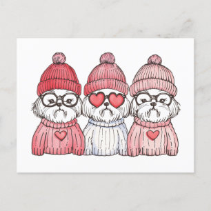 Valentijnsdag Shih Tzu Dogs Briefkaart