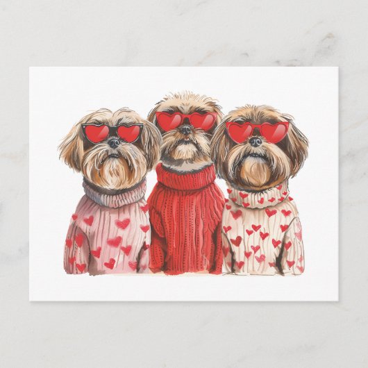 Valentijnsdag Shih Tzu Dogs Briefkaart (Voorkant)