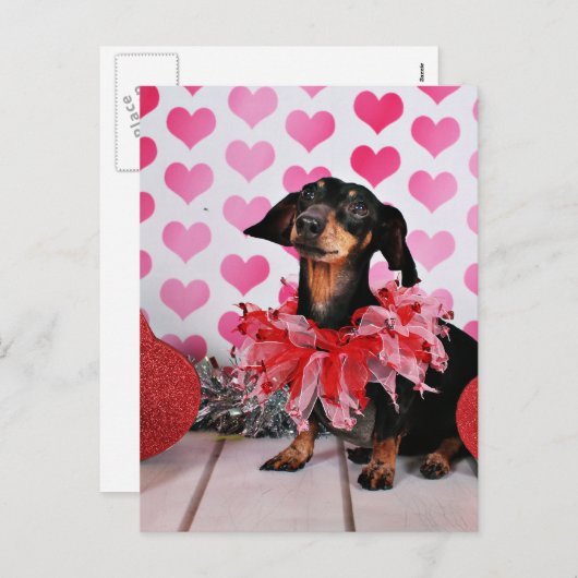 Valentijnsdag - Sophia - Teckel Feestdagenkaart (Voorkant / Achterkant)