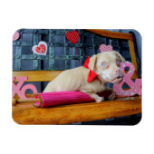 Valentijnsdag Tucker Magnet Magneet (Horizontaal)