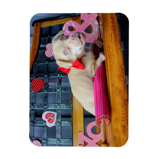 Valentijnsdag Tucker Magnet Magneet (Verticaal)