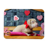 Valentijnsdag TuckerWearsGoggles Magneten (Horizontaal)