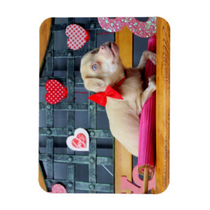 Valentijnsdag TuckerWearsGoggles Magneten