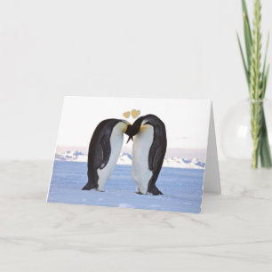 Valentijnsdag, twee pinguïns - twee harten feestdagen kaart
