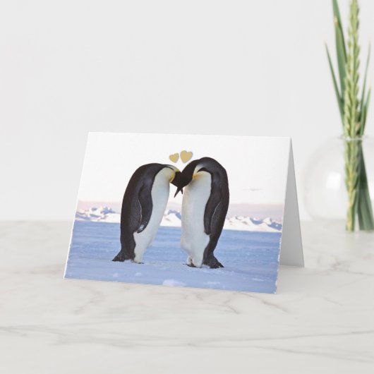 Valentijnsdag, twee pinguïns - twee harten feestdagen kaart (Voorkant)