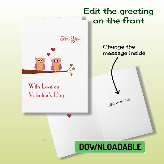 Valentijnsdag twee schattige roze uiluil Vakantiev Feestdagen Kaart