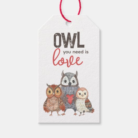 Valentijnsdag Uilen Cute Cadeaubijschriften Cadeaulabel (Voorkant)