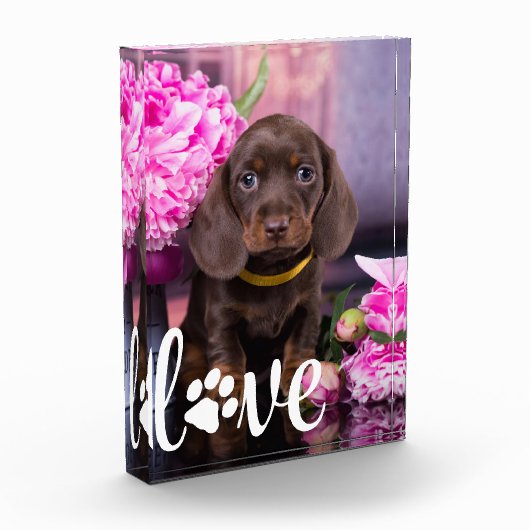 Valentijnsdag VERLIES Hondenliefhebber aangepast A Fotoblokken (Links)