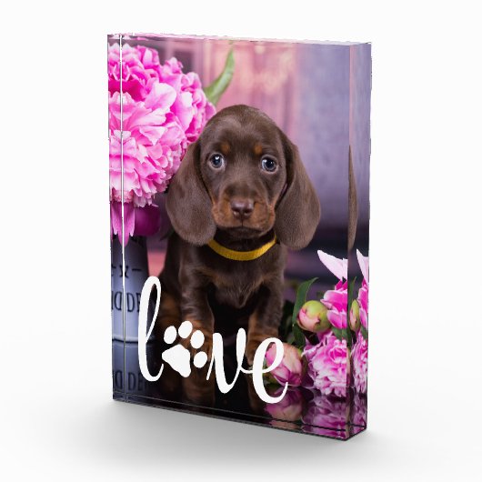 Valentijnsdag VERLIES Hondenliefhebber aangepast A Fotoblokken (Rechts)