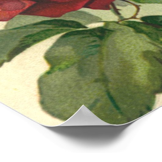  Valentijnsdag, Victoriaans gezichten in Rozen Poster (Hoek)