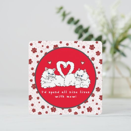 Valentijnsdag Witte Perzische Katten met Harten (Staand voorkant)