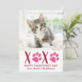 Valentijnsdag XOXO Cute Kitten Pet Cat Foto Feestdagenkaart (Staand voorkant)