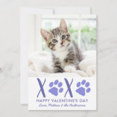 Valentijnsdag XOXO Cute Kitten Pet Foto Feestdagenkaart (Voorkant)