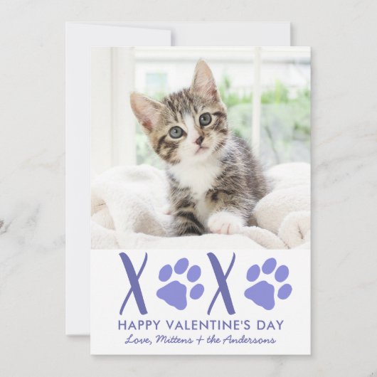 Valentijnsdag XOXO Cute Kitten Pet Foto Feestdagenkaart (Voorkant)
