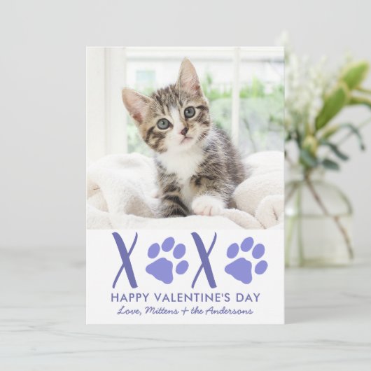 Valentijnsdag XOXO Cute Kitten Pet Foto Feestdagenkaart (Staand voorkant)