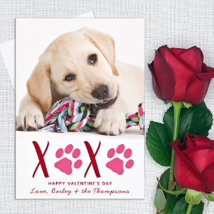 Valentijnsdag XOXO Cute Pet Puppy Dog Foto Feestdagenkaart