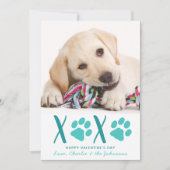 Valentijnsdag XOXO Cute Puppy Dog Foto Feestdagenkaart (Voorkant)