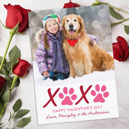 Valentijnsdag XOXO Moderne Puppy Dog Foto Feestdagenkaart
