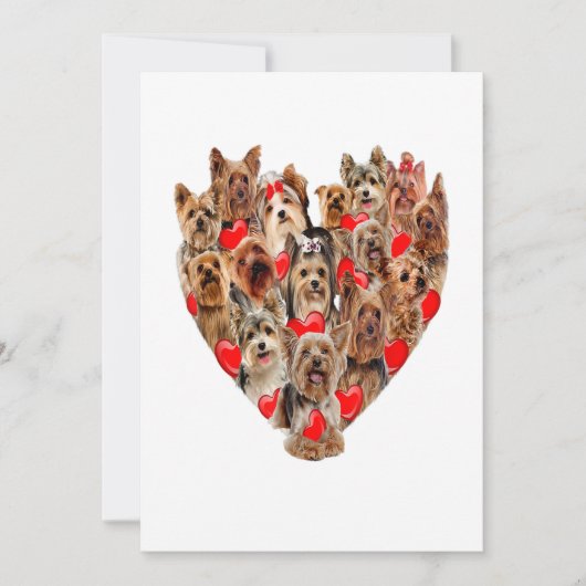 Valentijnsdag Yorkshire Terrier Dog Heart T-shirt Aankondiging (Voorkant)