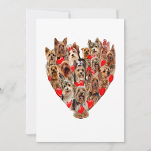 Valentijnsdag Yorkshire Terrier Dog Heart T-shirt  Aankondiging